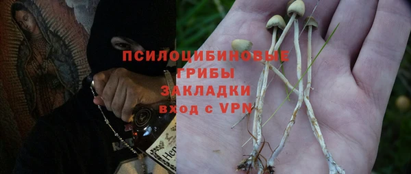ALPHA-PVP Алексеевка