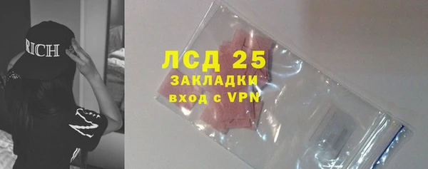 стаф Новодвинск