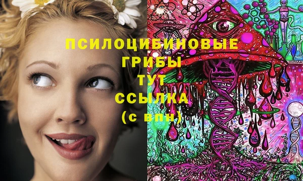 гидропоника Алексин