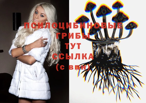эйфоретик Алзамай