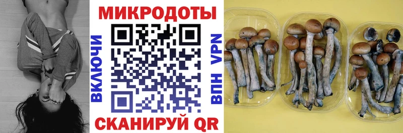 наркота  Новая Ляля  площадка телеграм  Галлюциногенные грибы Magic Shrooms 